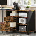 Feonase Mobile File Cabinet with 2 Drawers,3 Storage Shelf, Safe Box Layout